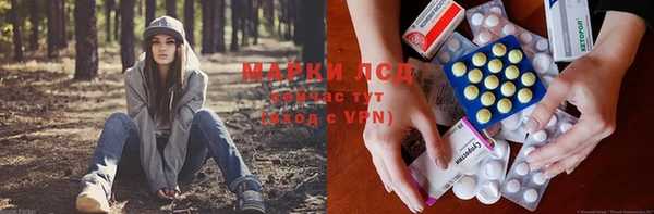 spice Алзамай