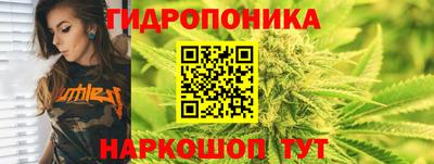 mdpv Кингисепп