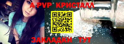 стаф Кинель