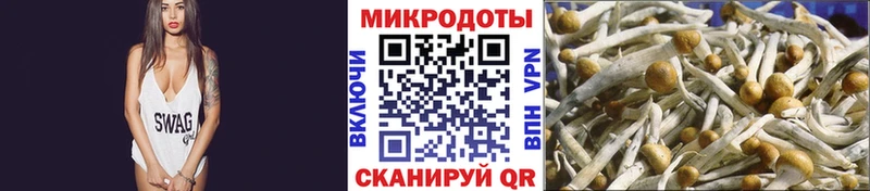Псилоцибиновые грибы MAGIC MUSHROOMS ссылка на мегу tor shop клад Удомля