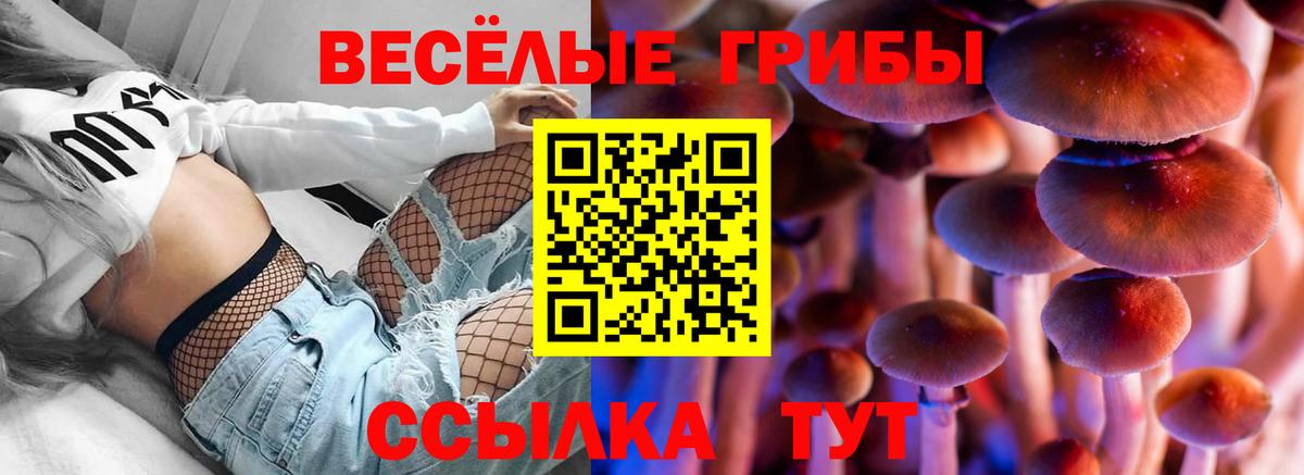 Галлюциногенные грибы Magic Shrooms Удомля